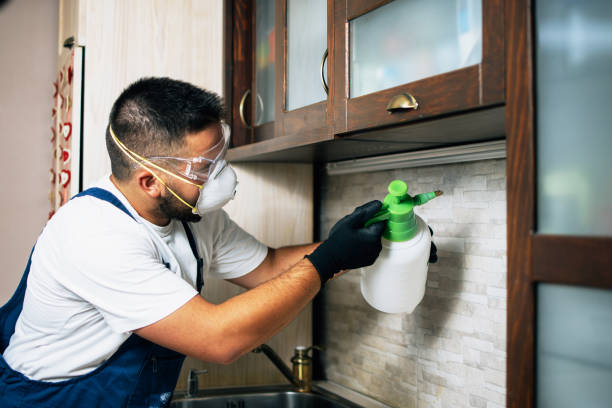 Best Pest Prevention Services  in Forest Acres, SC