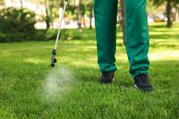 Best Best Pest Control Companies  in Forest Acres, SC
