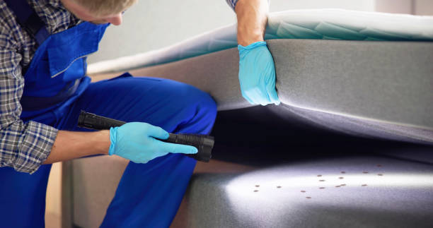 Best Wasp Removal Services  in Forest Acres, SC
