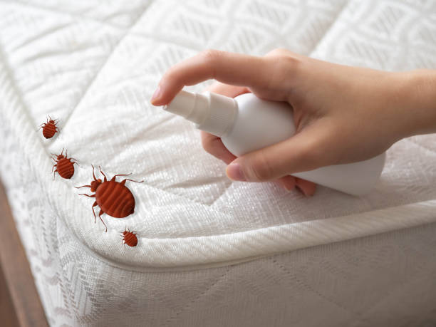 Best Pest Control Near Me  in Forest Acres, SC