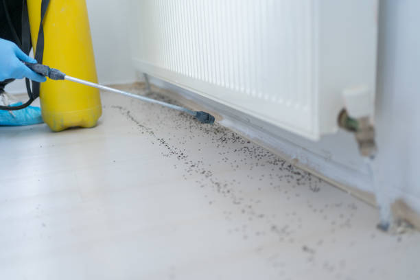 Best Emergency Pest Control  in Forest Acres, SC