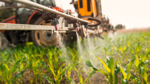 Best Mosquito Control Services  in Forest Acres, SC